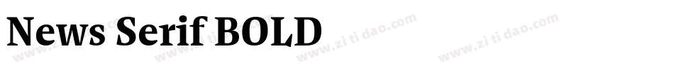 News Serif BOLD字体转换